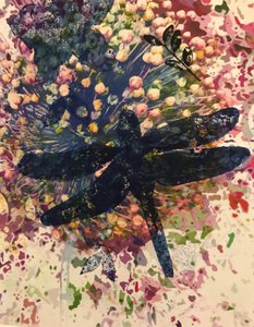 蜻蜓 作者 未知未知